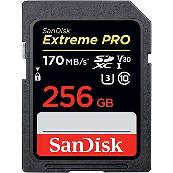 SD 256GB 663X PRO CLASS 10