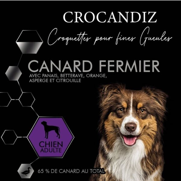 CANARD FERMIER