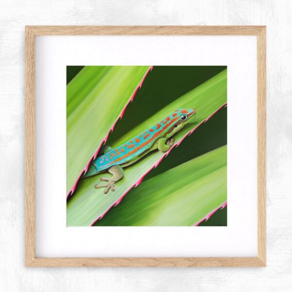 Impression encadrée gecko diurne orné de l’île Maurice