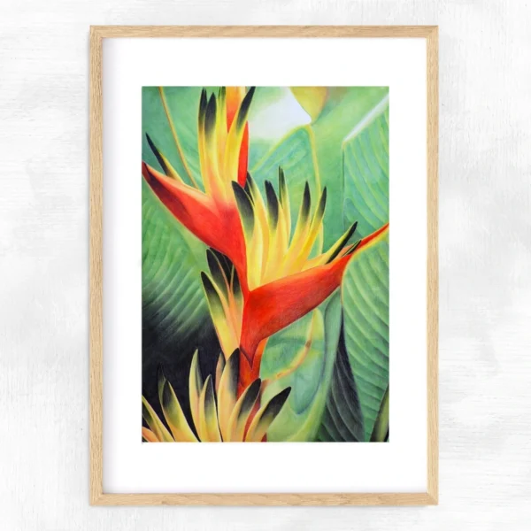Impression encadrée feuillage et fleur Heliconia