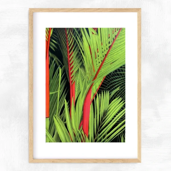 Impression encadrée plantes tropicales Palmiers rouges