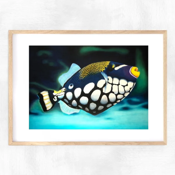 Impression encadrée poisson baliste-clown dans l’océan