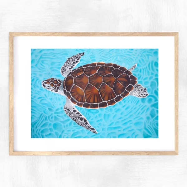 Impression encadrée Tortue de mer Serenity