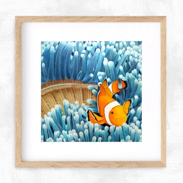 Impression encadrée Poisson-clown et anémones Vie de récif