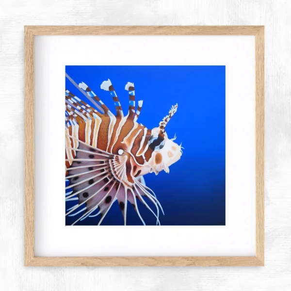 Impression encadrée poisson tropical Rascasse volante Liberté