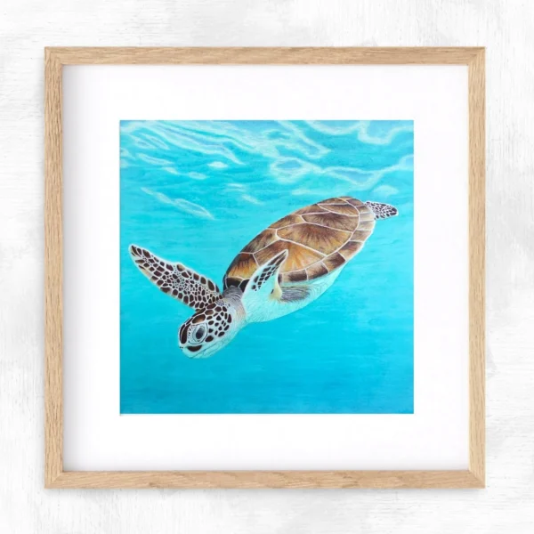 Impression encadrée tortue de mer Sagesse