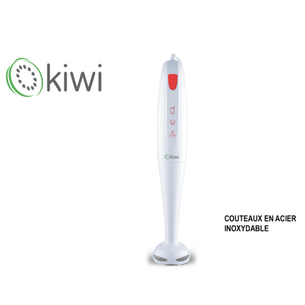 Mixeur plongeant 200W