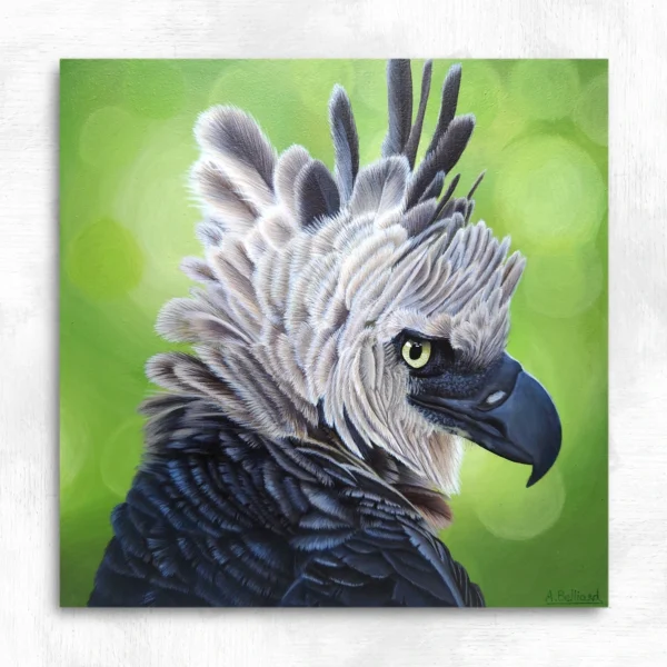 Tableau oiseau tropical aigle harpie