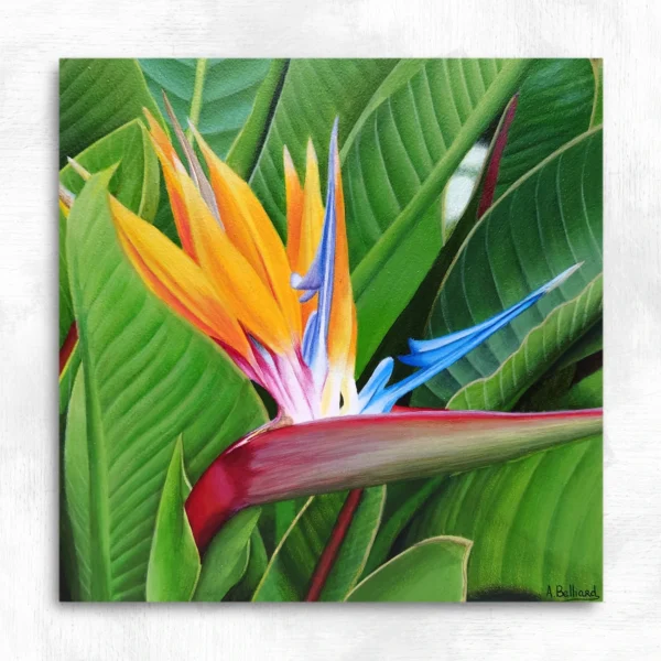Tableau fleur tropicale strelitzia Couleurs du paradis