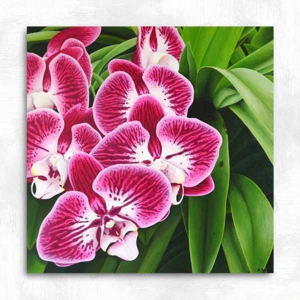 Tableau fleurs d’orchidée roses Élégance tropicale