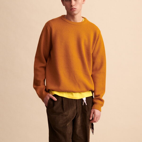 Pull Youri col rond