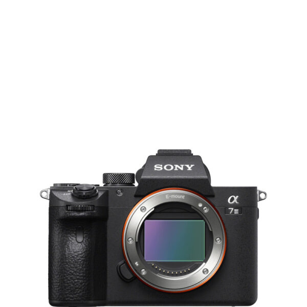 Alpha 7 III + 16-35 GM