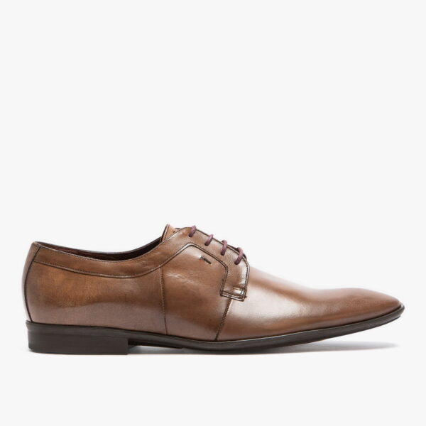 Toulois45 derbies marron