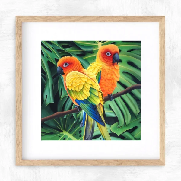 Impression encadrée oiseaux Conures soleil Enchantement tropical