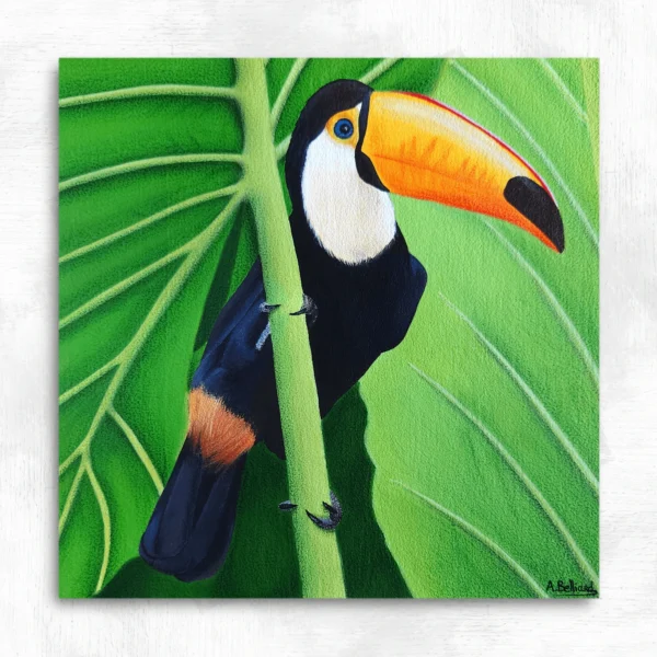 Tableau oiseau tropical toucan Touki