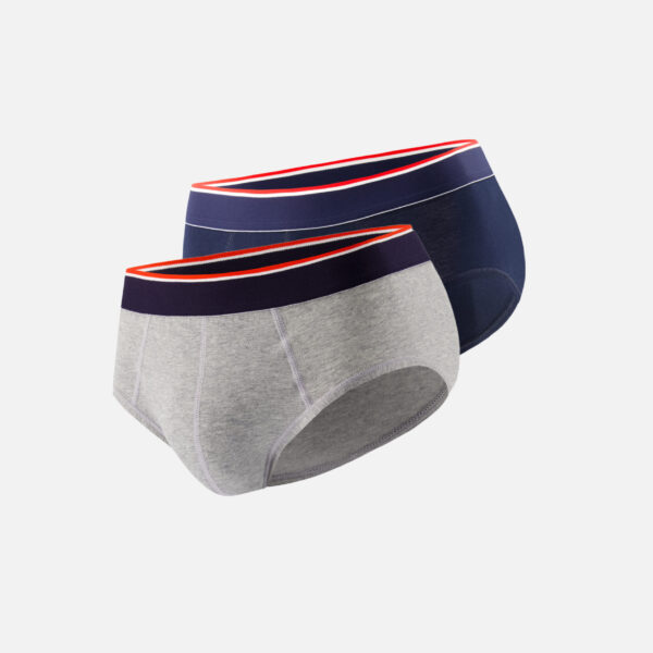 Pack Duo Slip Terrible Marine Gris Chiné bleu
