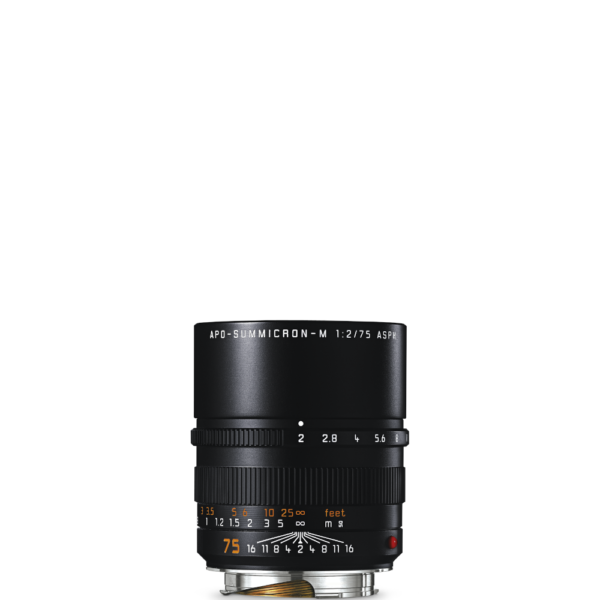 Apo-Summicron-M 75mm f/2 ASPH