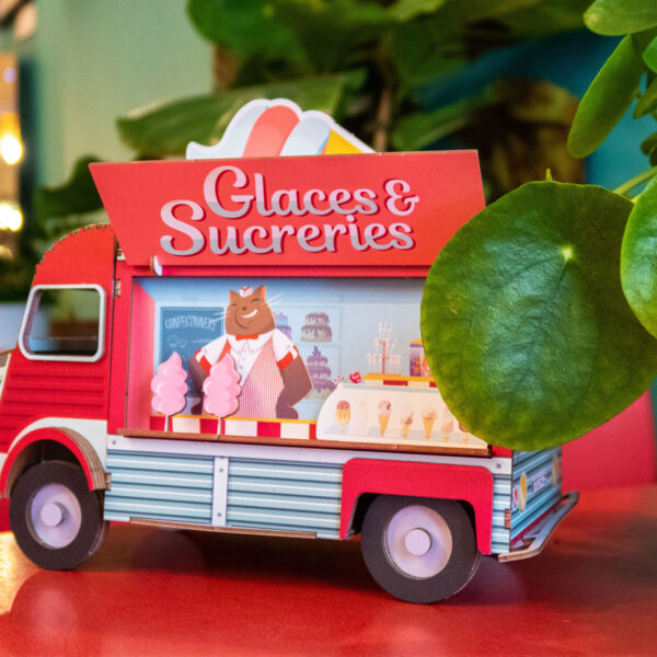 Camion Tub en carton