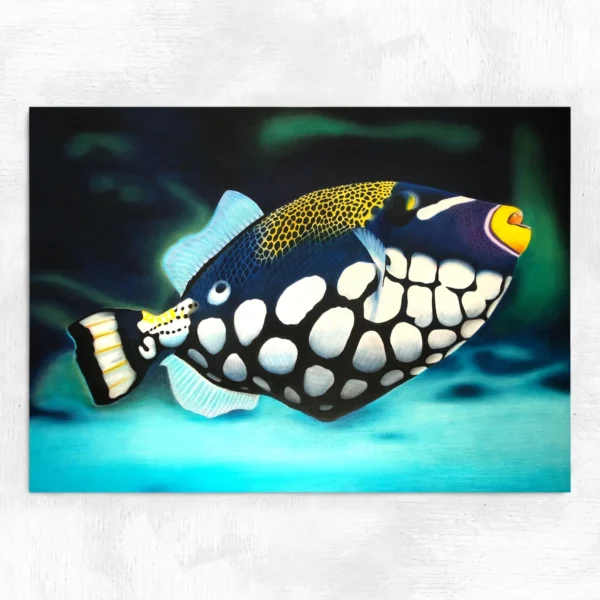 Tableau poisson exotique Baliste clown