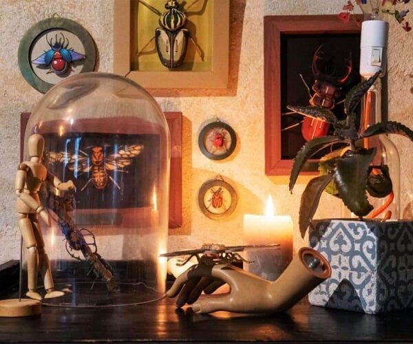 Kit petits insectes