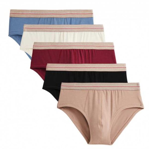 Lot De 5 Slips À Taille Basse