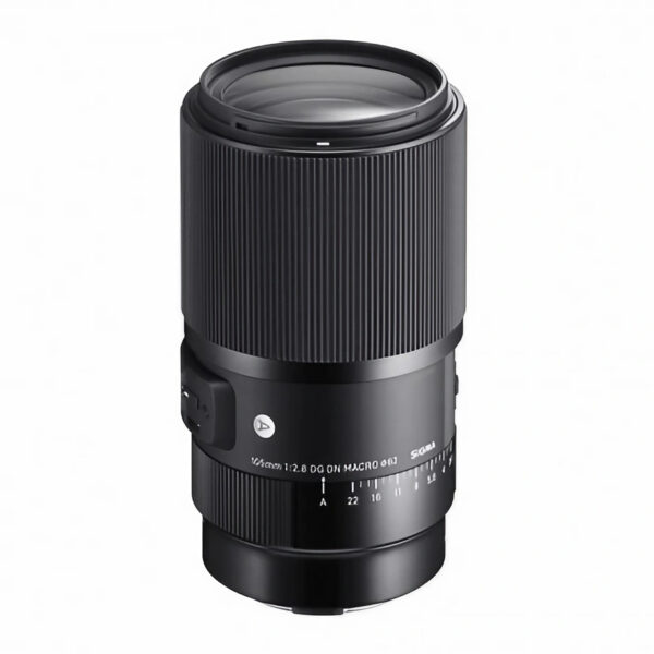 105 F2.8 DG DN MACRO ART LMOUNT