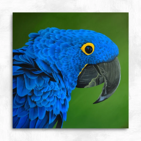 Tableau oiseau tropical Ara hyacinthe