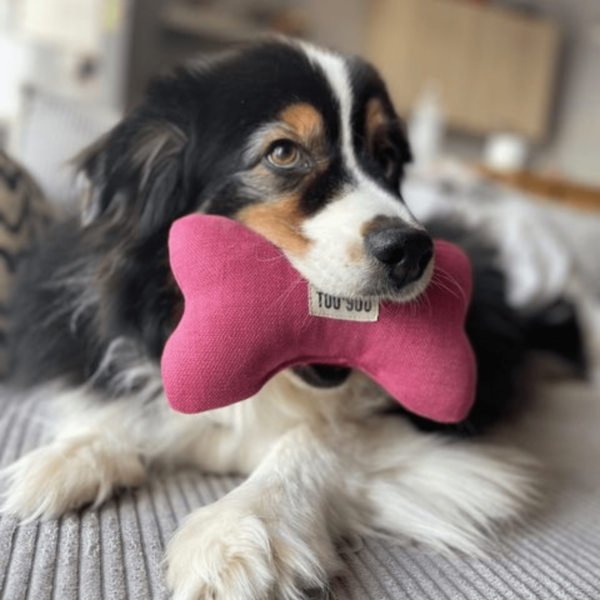 Jouet pour chien Nonos – Coloris Rose
