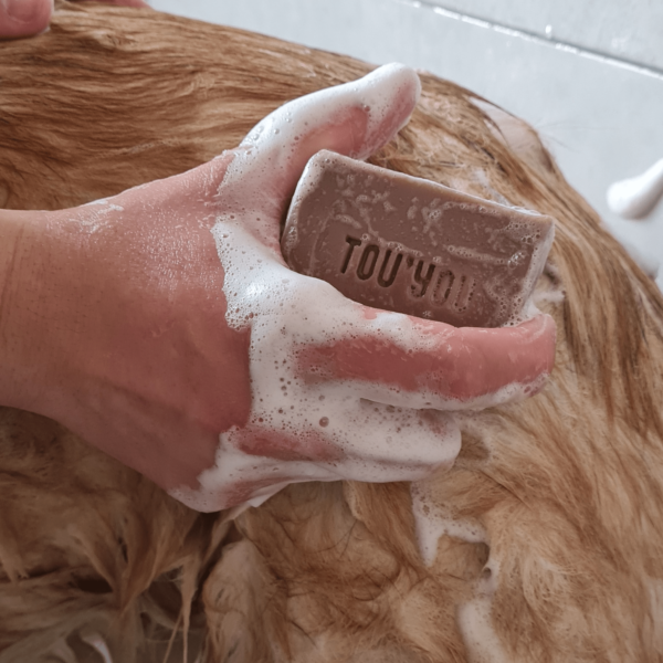 Shampoing solide pour chien citron romarin